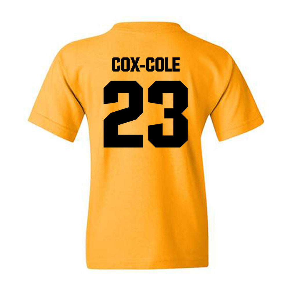 Alabama State - NCAA Softball : Arianna Cox-Cole - Classic Shersey Youth T-Shirt-1