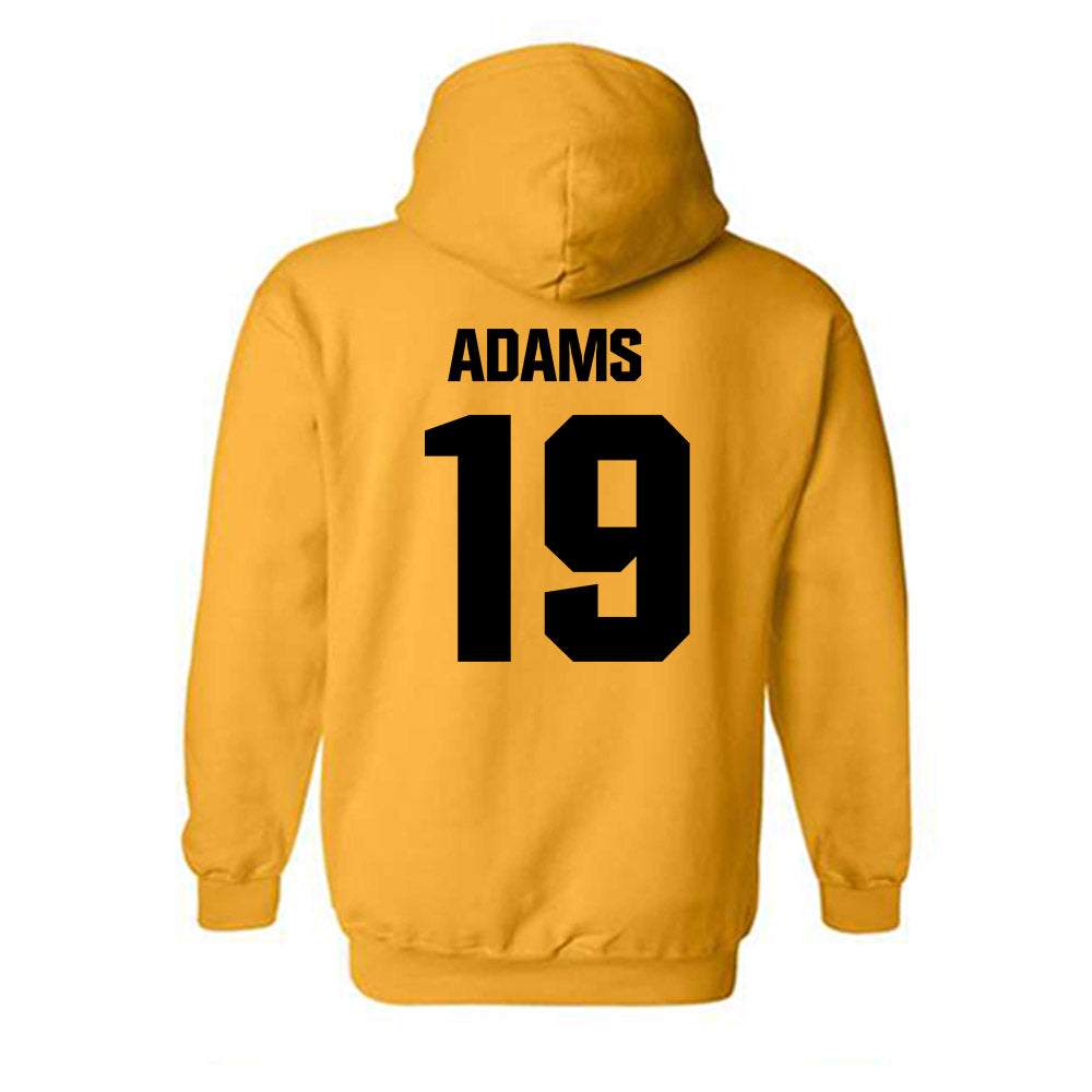 Alabama State - NCAA Women's Volleyball : Brooke Adams - Classic Shersey Hooded Sweatshirt-1
