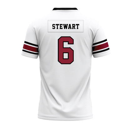 South Carolina - NCAA Football : Dylan Stewart - White Premium Football Jersey-1