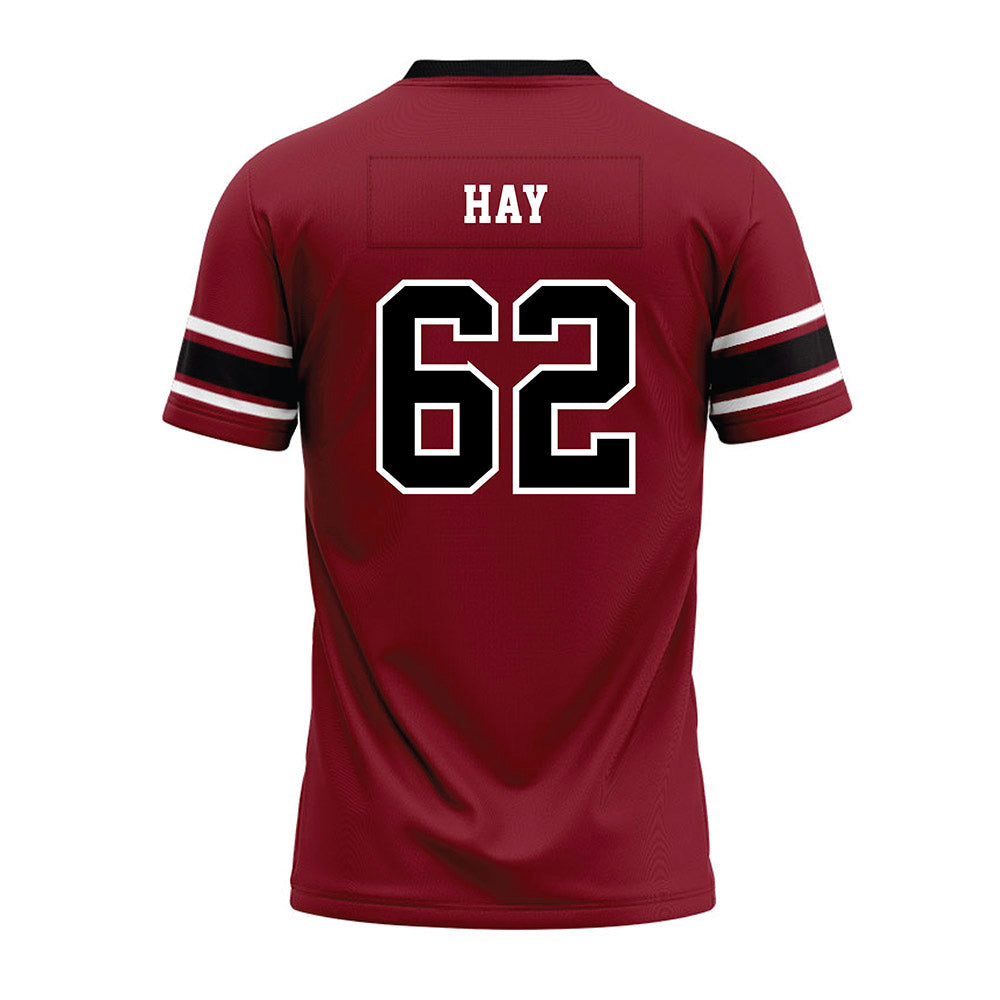South Carolina - NCAA Football : Nolan Hay - Garnet Premium Football Jersey-1