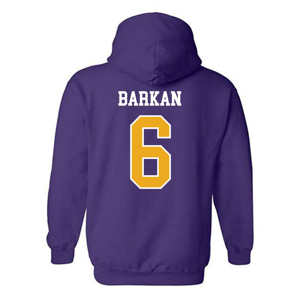 Albany - NCAA Men's Soccer : David Barkan - Classic Shersey Hooded Sweatshirt-1