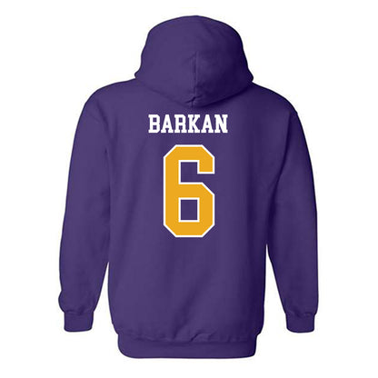 Albany - NCAA Men's Soccer : David Barkan - Classic Shersey Hooded Sweatshirt-1