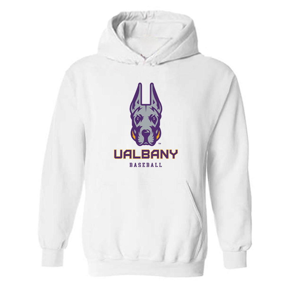 Albany - NCAA Baseball : Tyler Kneller - Classic Shersey Hooded Sweatshirt-0