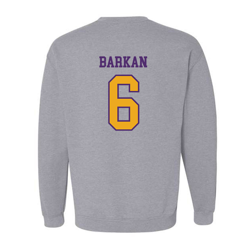 Albany - NCAA Men's Soccer : David Barkan - Classic Shersey Crewneck Sweatshirt-1