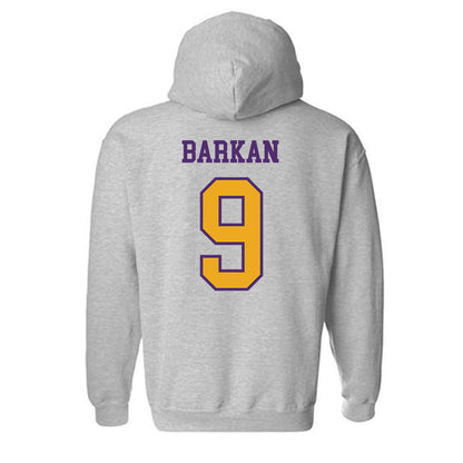 Albany - NCAA Men's Soccer : David Barkan - Classic Shersey Hooded Sweatshirt-1