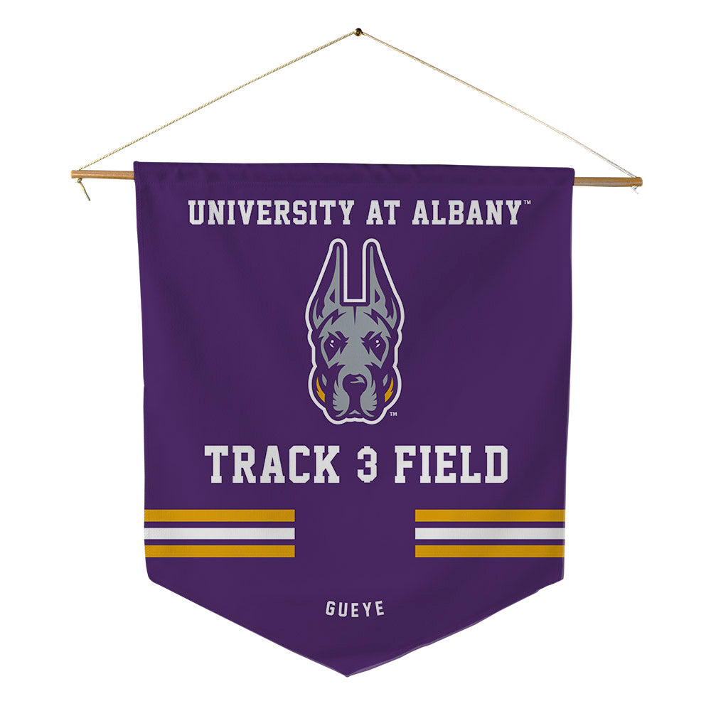 Albany - NCAA Women's Track & Field : Melissa Gueye - Pennant - 18" x 21"-0