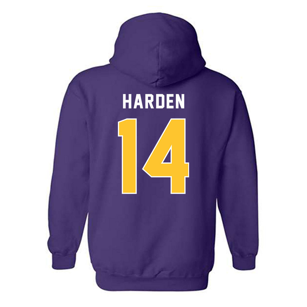 LSU - NCAA Baseball : Daniel Harden - Classic Shersey Hooded Sweatshirt-1