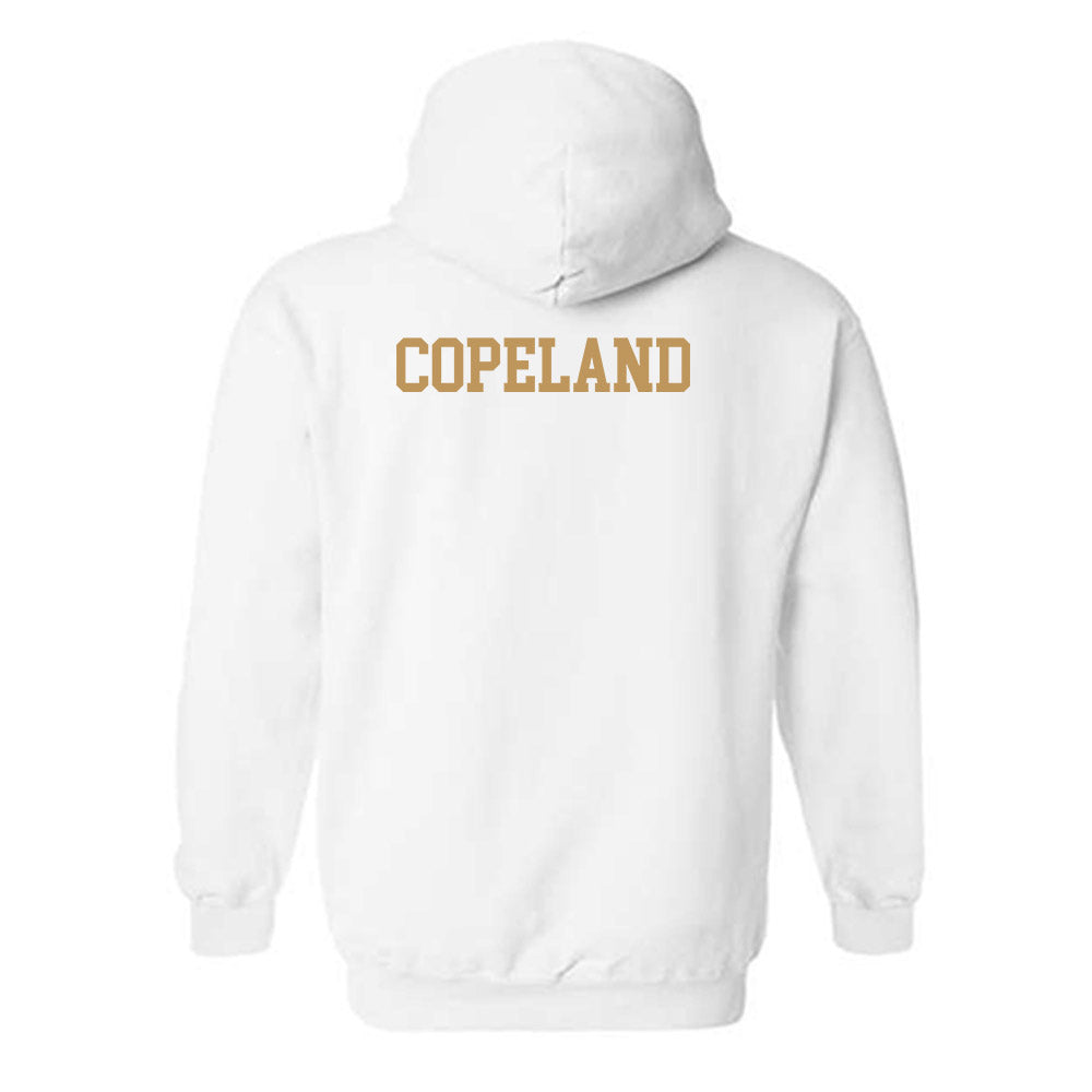 Georgia Tech - NCAA Women's Cross Country : Sarah Copeland - Classic Shersey Hooded Sweatshirt-1