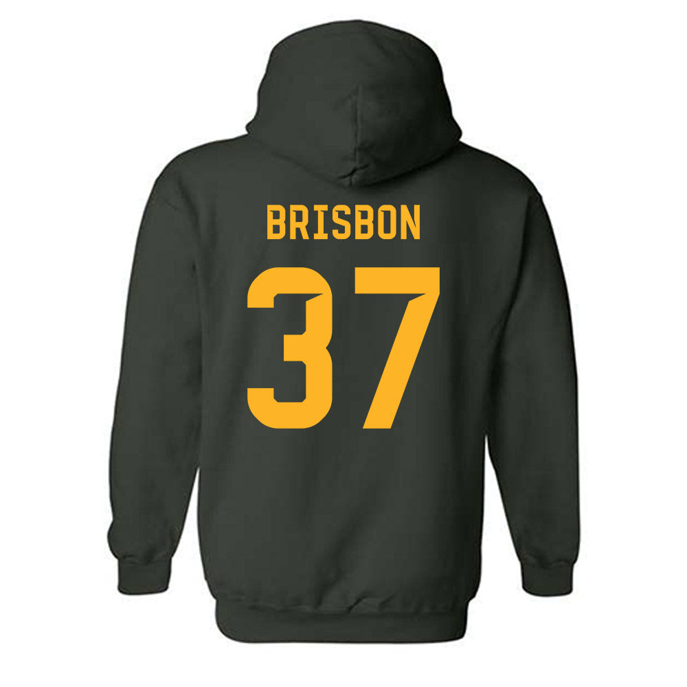 Baylor - NCAA Football : Demetrius Brisbon - Family Weekend Shersey Hooded Sweatshirt-1