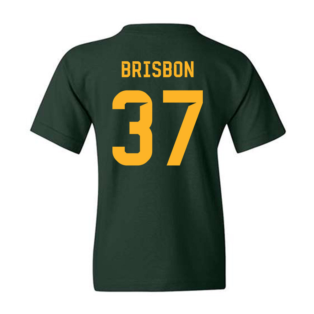 Baylor - NCAA Football : Demetrius Brisbon - Family Weekend Shersey Youth T-Shirt-1
