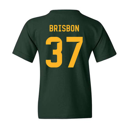 Baylor - NCAA Football : Demetrius Brisbon - Family Weekend Shersey Youth T-Shirt-1