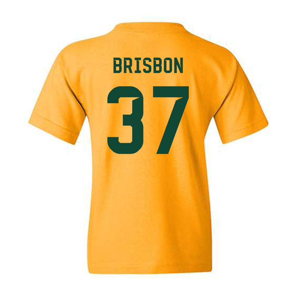 Baylor - NCAA Football : Demetrius Brisbon - Go Gold Shersey Youth T-Shirt-1