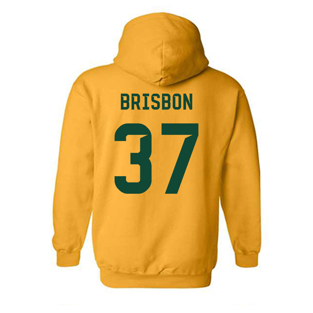 Baylor - NCAA Football : Demetrius Brisbon - Go Gold Shersey Hooded Sweatshirt-1
