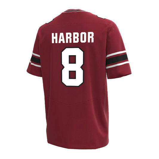 South Carolina - NCAA Football : Nyckoles Harbor - Under Armour® Football Jersey-0