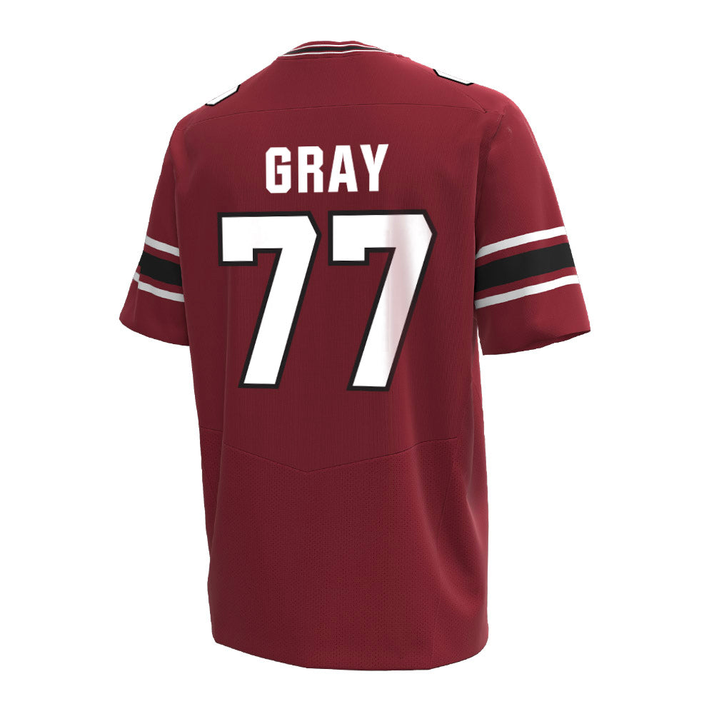 South Carolina - NCAA Football : Darius Gray - Under Armour® Football Jersey-1