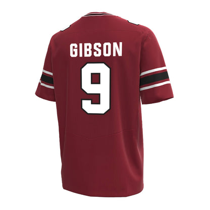 South Carolina - NCAA Football : Jayden Gibson - Under Armour® Football Jersey-1