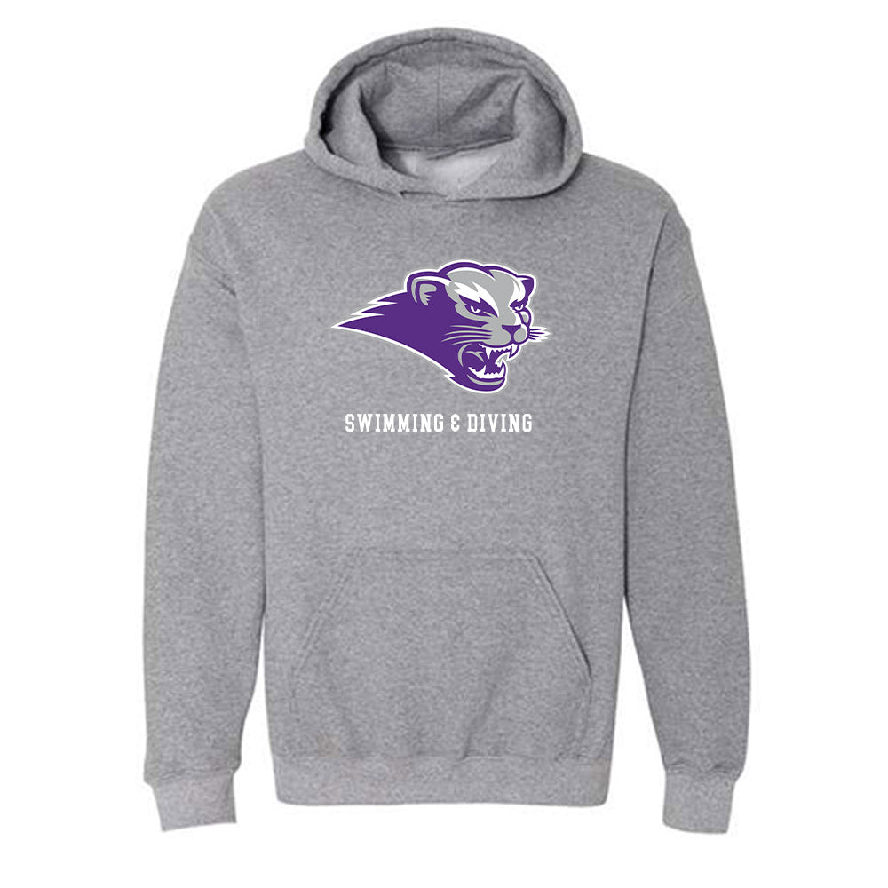 SBU - NCAA Women's Swimming & Diving : Sofia Gonzalez - Classic Shersey Hooded Sweatshirt-0