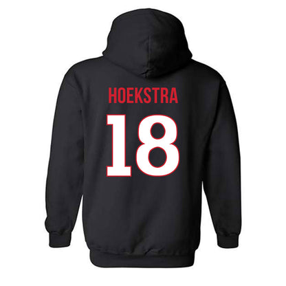 Rutgers - NCAA Softball : Siera Hoekstra - Replica Shersey Hooded Sweatshirt-1