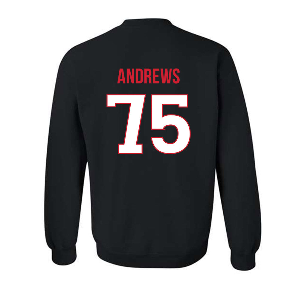 Rutgers - NCAA Football : Raynor Andrews - Replica Shersey Crewneck Sweatshirt-1