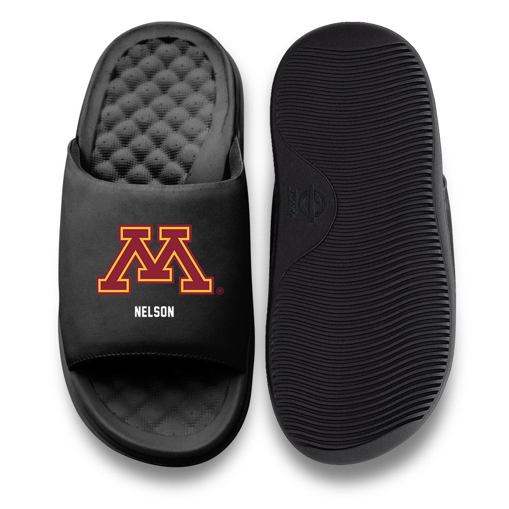 Minnesota - NCAA Football : Tony Nelson - ISlide-0