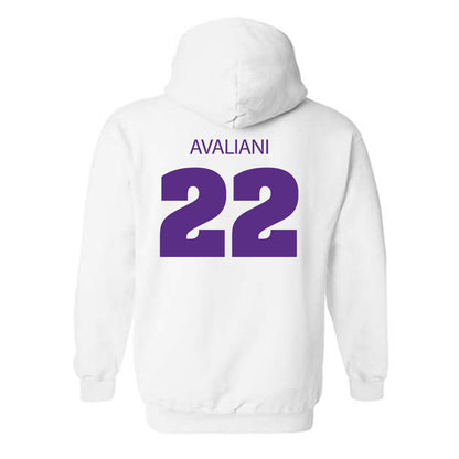 Sewanee - NCAA Men's Basketball : Nikolas Avaliani - Classic Shersey Hooded Sweatshirt-1