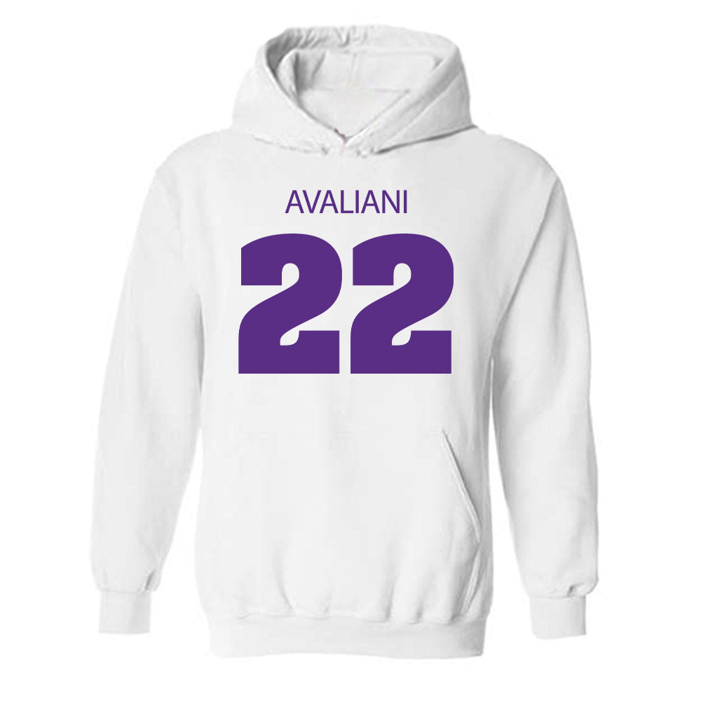 Sewanee - NCAA Men's Basketball : Nikolas Avaliani - Classic Shersey Hooded Sweatshirt-0