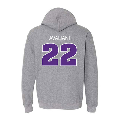 Sewanee - NCAA Men's Basketball : Nikolas Avaliani - Classic Shersey Hooded Sweatshirt-1
