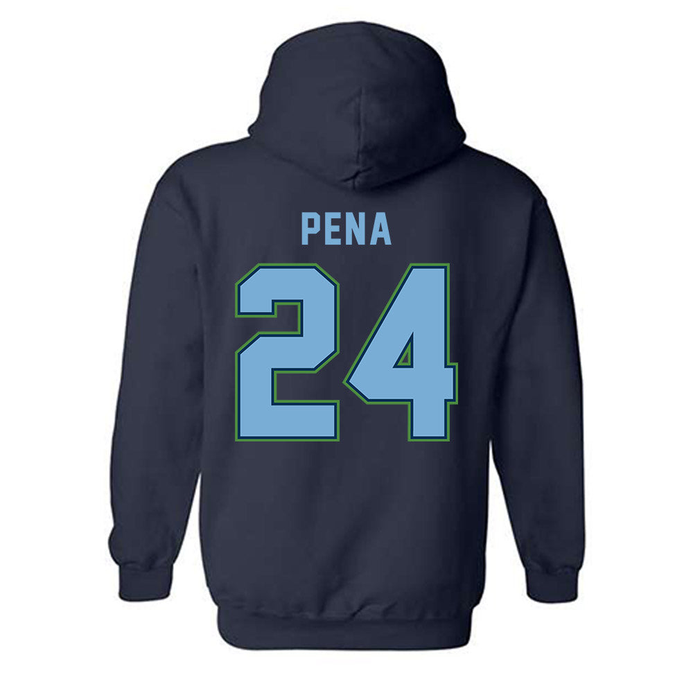 CSU Monterey Bay - NCAA Women's Basketball : Janelle Pena - Classic Shersey Hooded Sweatshirt-1