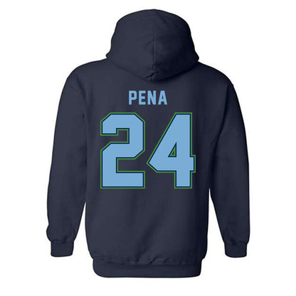 CSU Monterey Bay - NCAA Women's Basketball : Janelle Pena - Classic Shersey Hooded Sweatshirt-1