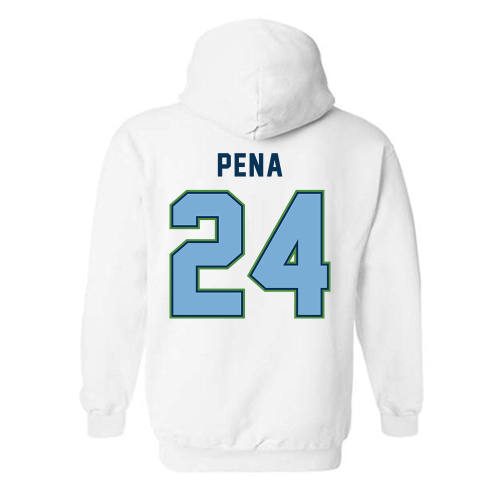 CSU Monterey Bay - NCAA Women's Basketball : Janelle Pena - Classic Shersey Hooded Sweatshirt-1