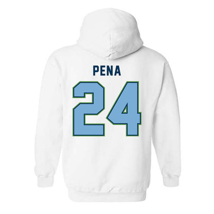 CSU Monterey Bay - NCAA Women's Basketball : Janelle Pena - Classic Shersey Hooded Sweatshirt-1