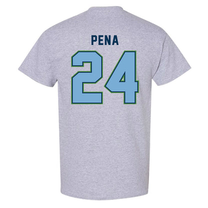 CSU Monterey Bay - NCAA Women's Basketball : Janelle Pena - Classic Shersey T-Shirt-1