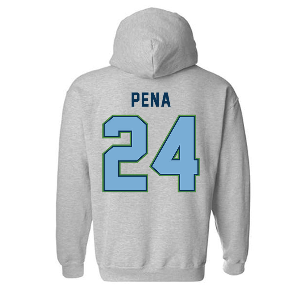 CSU Monterey Bay - NCAA Women's Basketball : Janelle Pena - Classic Shersey Hooded Sweatshirt-1