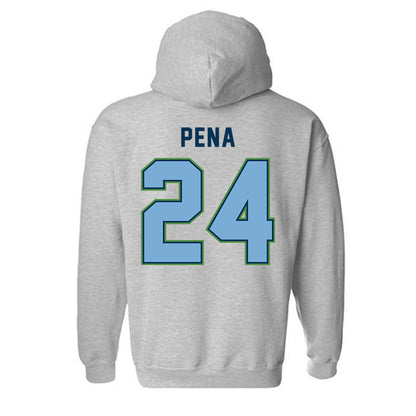 CSU Monterey Bay - NCAA Women's Basketball : Janelle Pena - Classic Shersey Hooded Sweatshirt-1