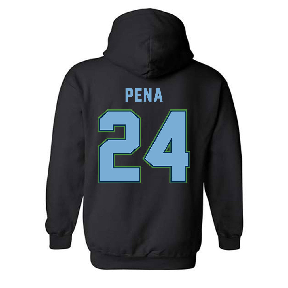 CSU Monterey Bay - NCAA Women's Basketball : Janelle Pena - Classic Shersey Hooded Sweatshirt-1