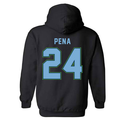 CSU Monterey Bay - NCAA Women's Basketball : Janelle Pena - Classic Shersey Hooded Sweatshirt-1