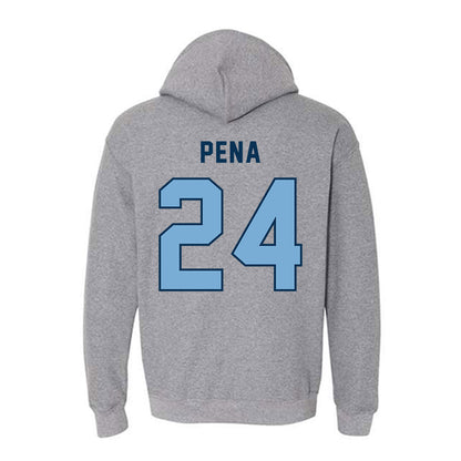 CSU Monterey Bay - NCAA Women's Basketball : Janelle Pena - Classic Shersey Hooded Sweatshirt-1