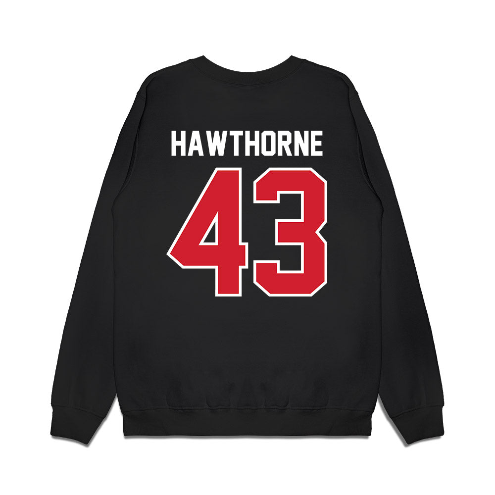 Nebraska - NCAA Football : Will Hawthorne - Vintage Helmet Premium Crewneck Sweatshirt-1