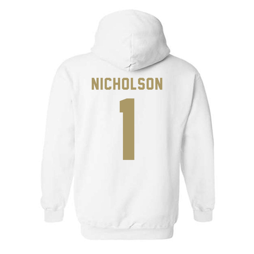 UNC Charlotte - NCAA Women's Basketball : Asianae Nicholson - Classic Shersey Hooded Sweatshirt-1