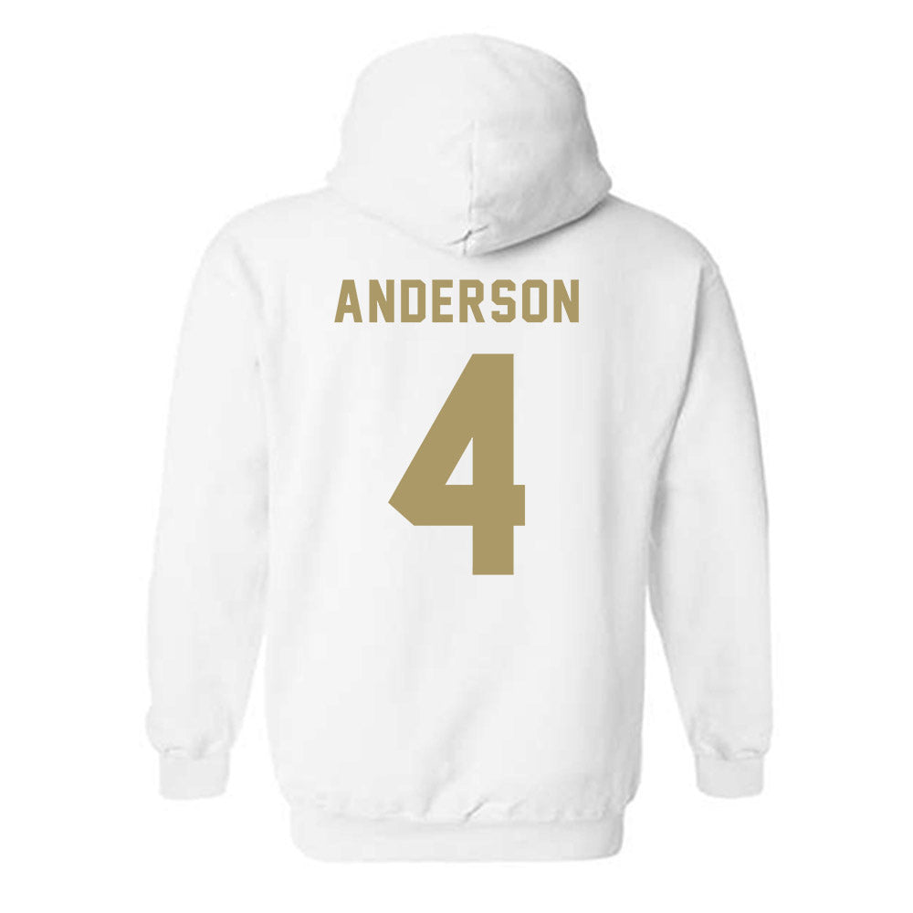 UNC Charlotte - NCAA Women's Basketball : Princess Anderson - Classic Shersey Hooded Sweatshirt-1