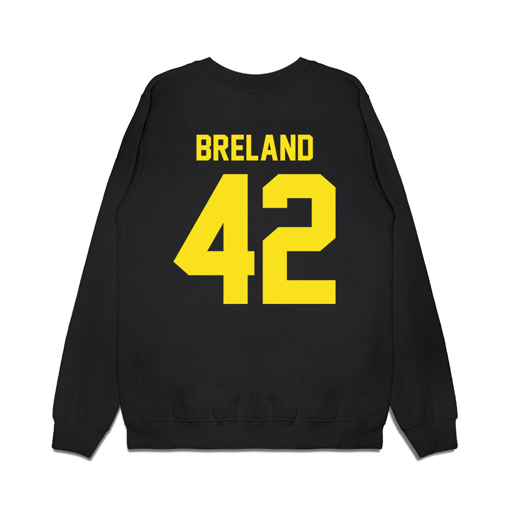 Oregon - NCAA Football : Aydin Breland - Vintage Helmet Premium Crewneck Sweatshirt-1