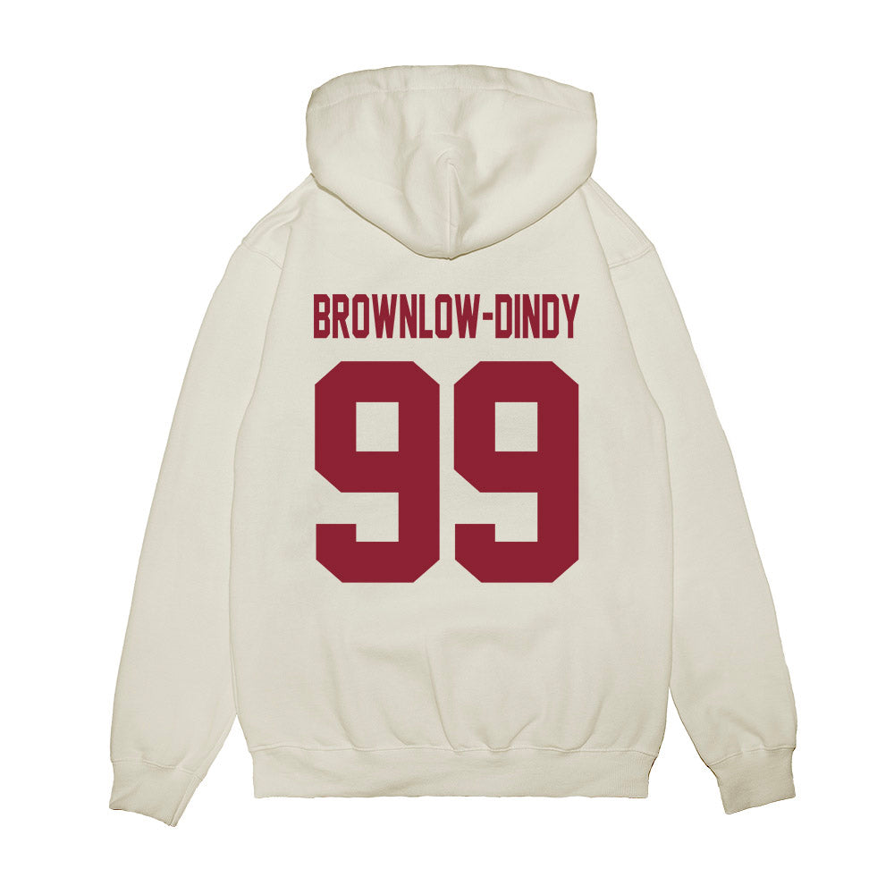 South Carolina - NCAA Football : Gabriel Brownlow-Dindy - Vintage Helmet Premium Hooded Sweatshirt-1