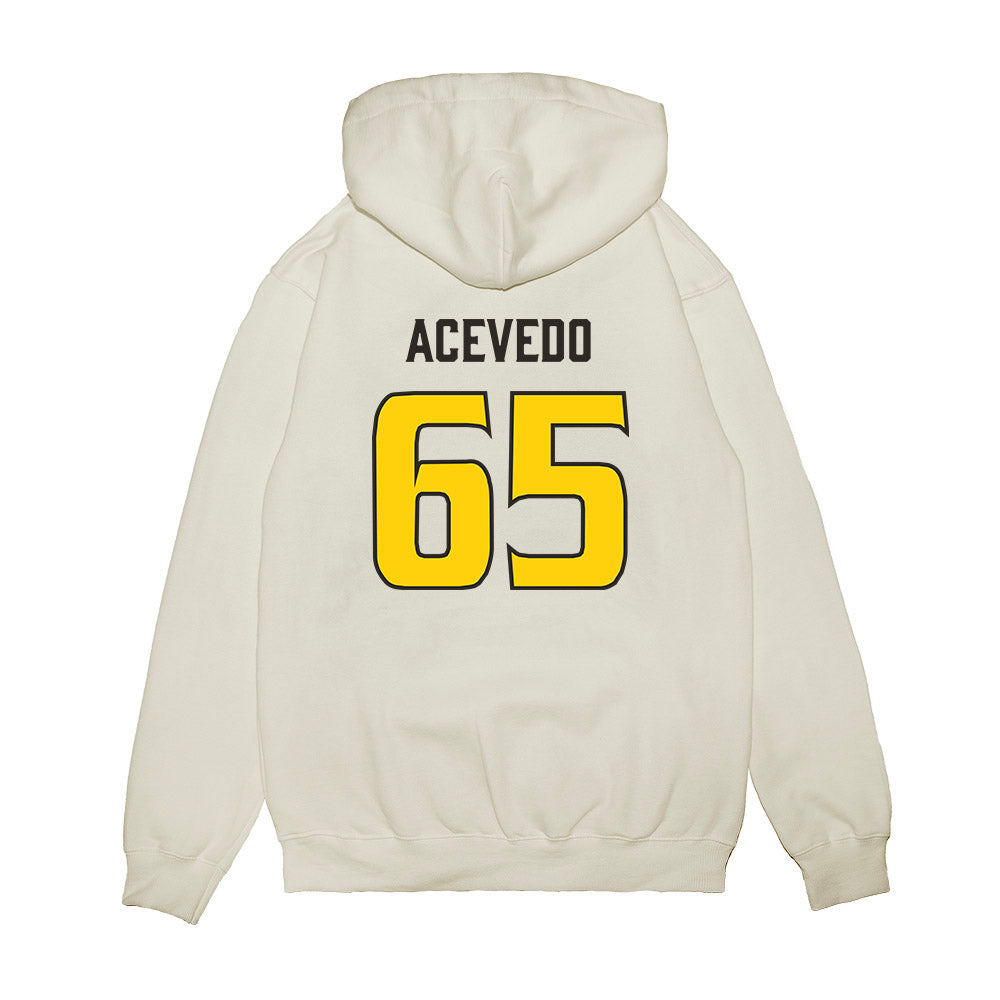 USF - NCAA Football : Jaylin Acevedo - Retro Sports Shersey Premium Hooded Sweatshirt-1