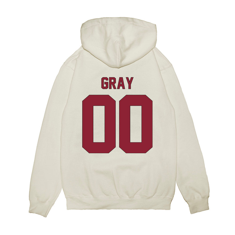 South Carolina - NCAA Football : Darius Gray - Vintage Helmet Premium Hooded Sweatshirt-1