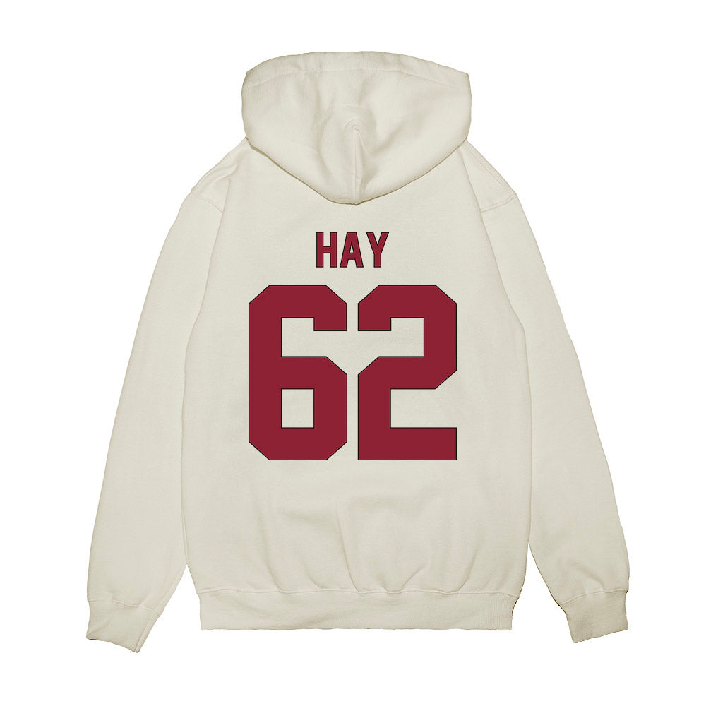 South Carolina - NCAA Football : Nolan Hay - Vintage Helmet Premium Hooded Sweatshirt-1