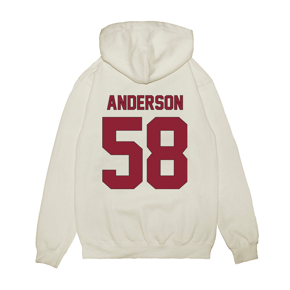 South Carolina - NCAA Football : Markee Anderson - Vintage Helmet Premium Hooded Sweatshirt-1