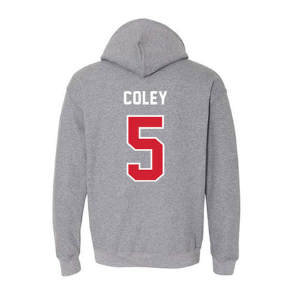 Western Kentucky - NCAA Baseball : Parker Coley - Classic Shersey Hooded Sweatshirt-1