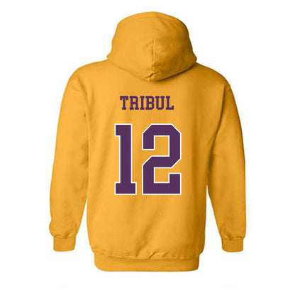JMU - NCAA Softball : Mia Tribul - Vintage Dukes Hooded Sweatshirt-1