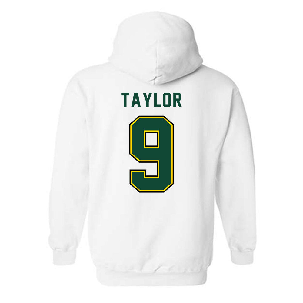 Brockport - NCAA Men's Ice Hockey : Aidan Taylor - Classic Shersey Hooded Sweatshirt-1