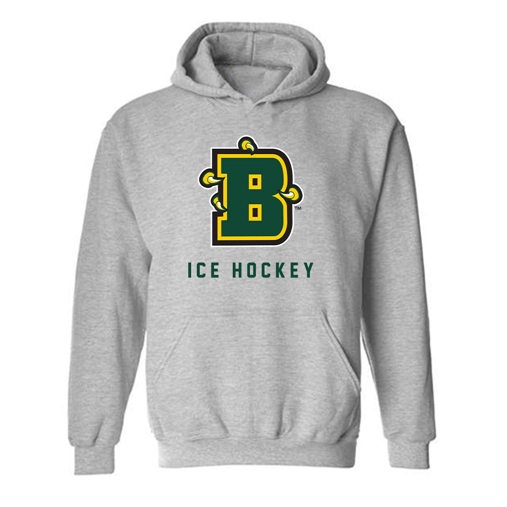 Brockport - NCAA Men's Ice Hockey : Aidan Taylor - Classic Shersey Hooded Sweatshirt-0